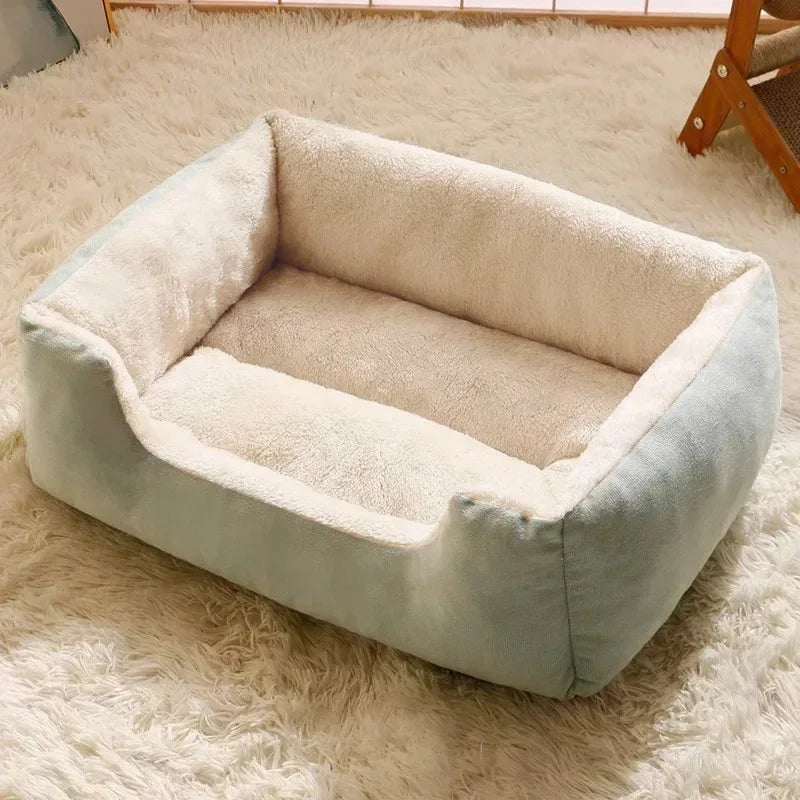 Bed for Cats Pet Products Cushions Kitten Goods Accessories Dog All Houses Supplies Things Accessory Habitats Basket House Beds