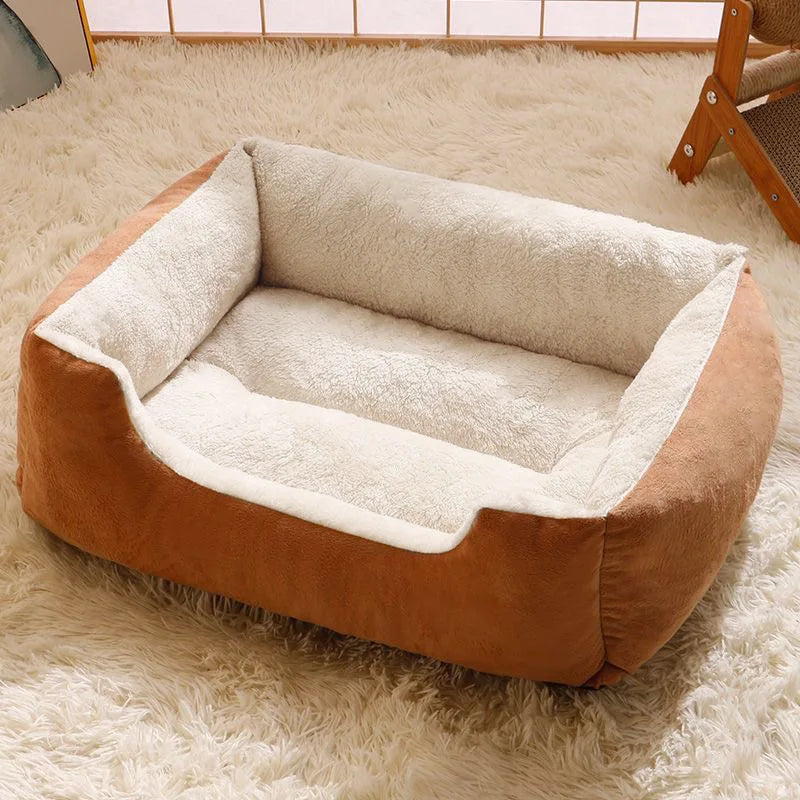 Bed for Cats Pet Products Cushions Kitten Goods Accessories Dog All Houses Supplies Things Accessory Habitats Basket House Beds