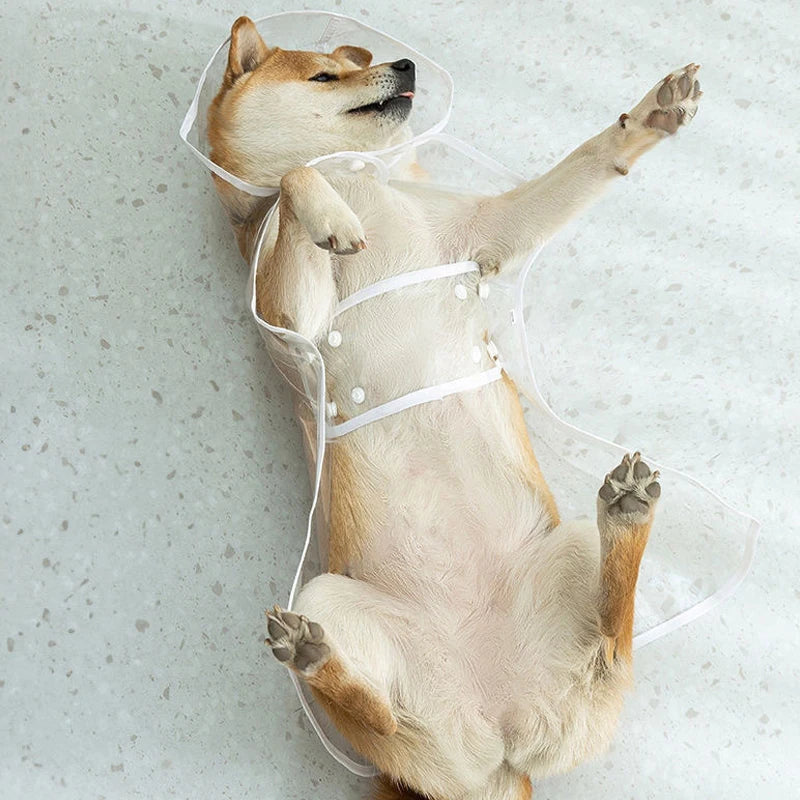 Pet Raincoat Puppy Dog Transparent Rainwear for Small Medium Large Dogs Puppy Rain Poncho Pet Supplies Dogs Waterproof Clothes