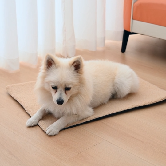 All Season Oval Pet Mat