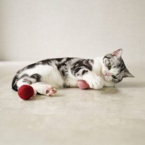 GariGari Natural Wool Cat Toy Ball in vibrant colors - Pets Station