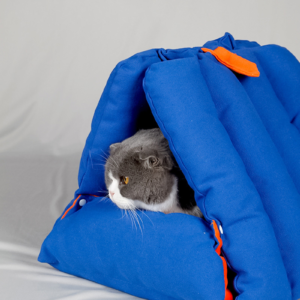 2-in-1 Blue Pet Tent Bed – Triangle Cave Convertible Cushion