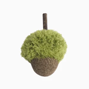 Acorn Catnip & Silvervine Interactive Cat Dental Toy