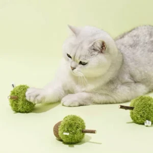Acorn Catnip & Silvervine Interactive Cat Dental Toy