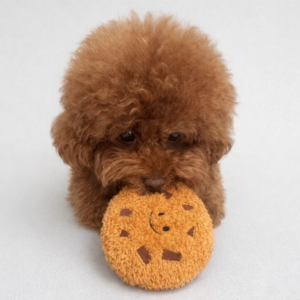 Chocolate Chip Cookie Dog Toy – Interactive Plush Snuffle & Puzzle Toy