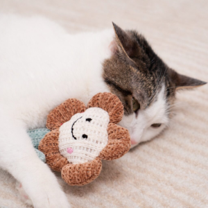 Cat playing Flower Catnip Cat Toy